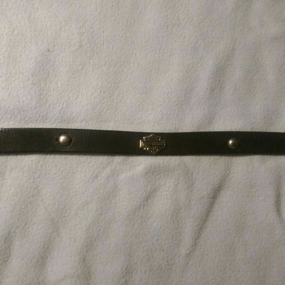 Harley-Davidson Belt